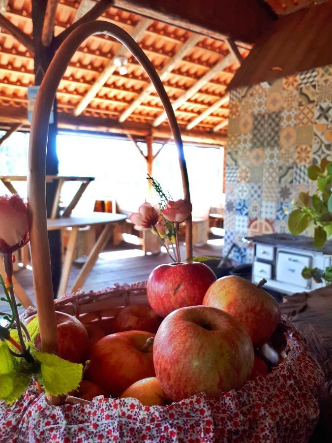 Fazenda Invernada Grande Turismo Rural Бон-Жардін-да-Серра Екстер'єр фото