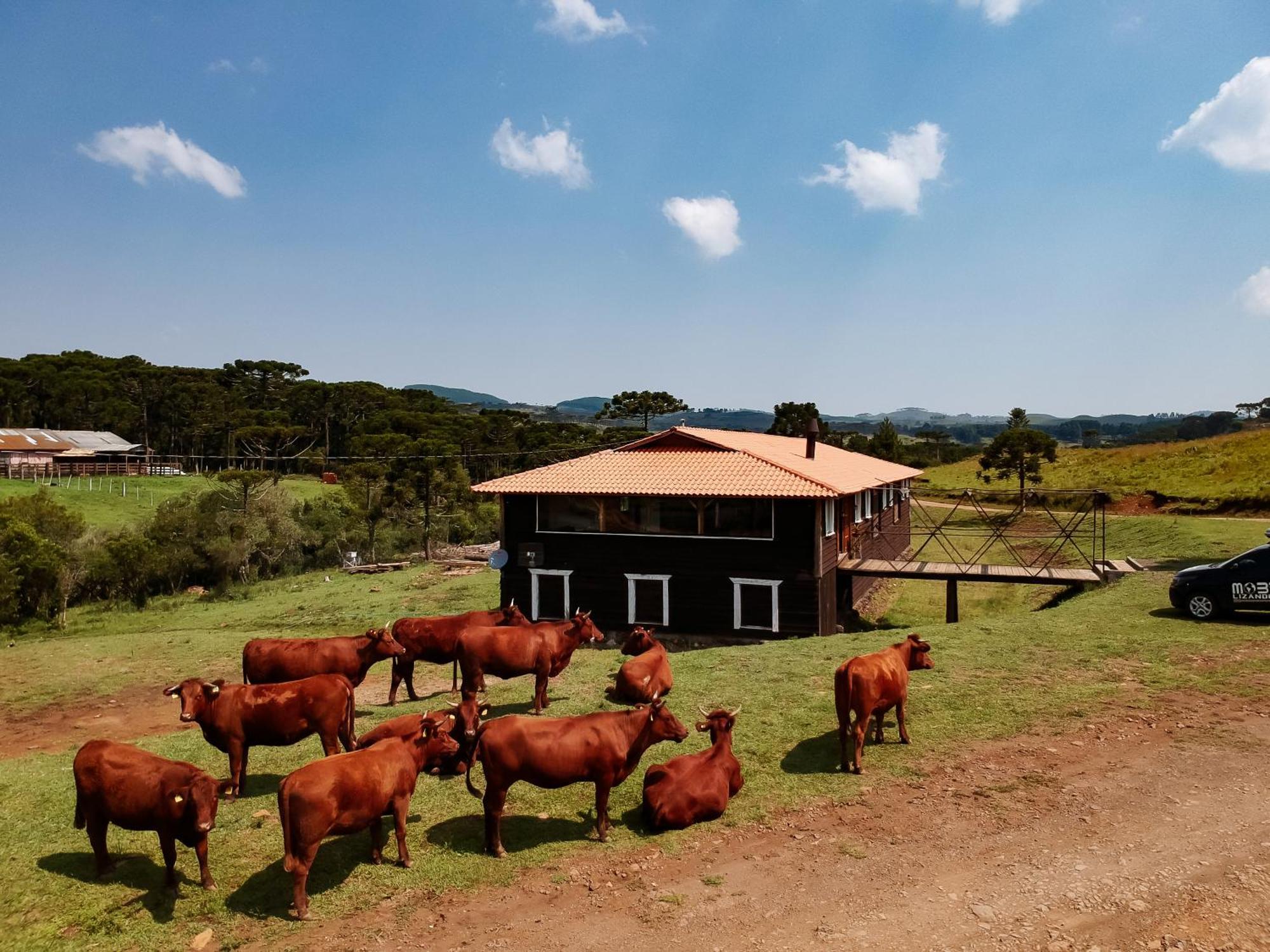 Fazenda Invernada Grande Turismo Rural Бон-Жардін-да-Серра Екстер'єр фото